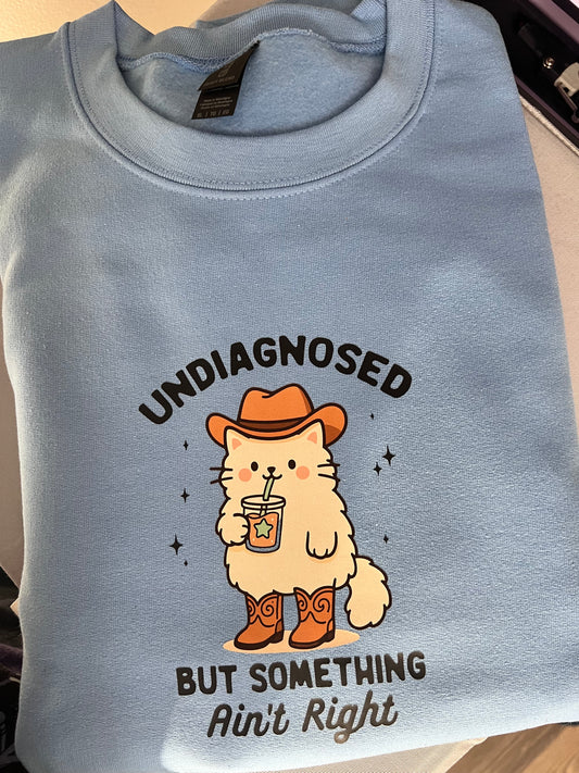 Undiagnosed Kitty Sweatshirt
